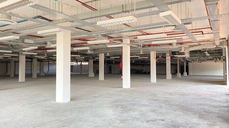 To Let commercial Property for Rent in Observatory Western Cape